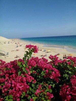 Paradis มอร์โร เดล ฆาเบล ภายนอก รูปภาพ